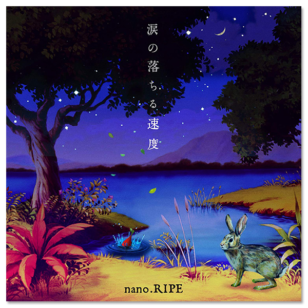 nano.RIPE | A-on STORE