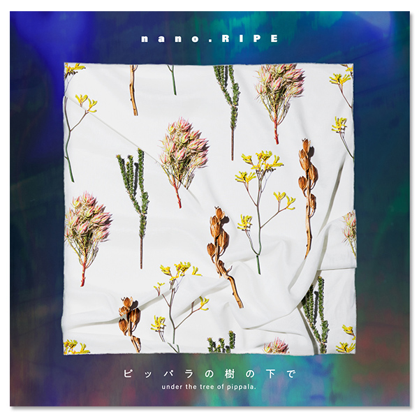 【廃盤あり】nano.RIPE CD 7枚セット 廃盤あり】nano.RIPE CD 7枚セット 廃盤あり】nano.RIPE CD 6枚セット