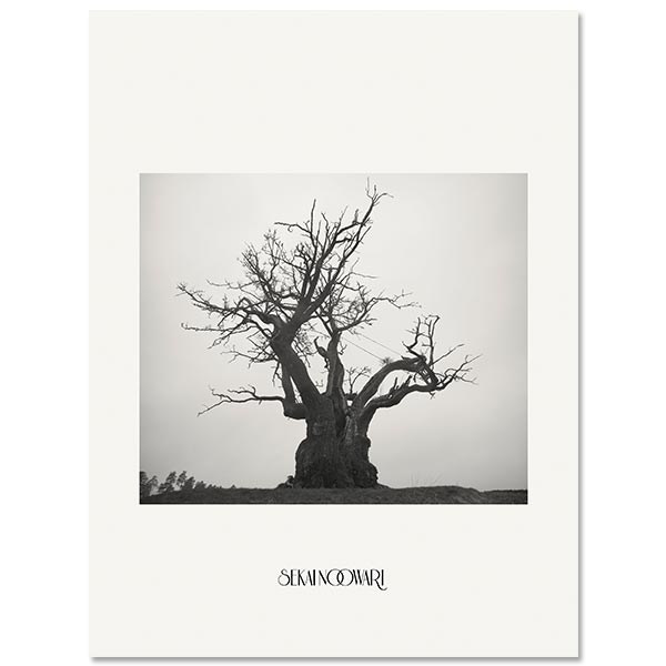 Album「SEKAI NO OWARI 2010-2019」【完全生産限定プレミアムBOX