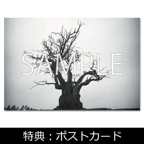 Album「SEKAI NO OWARI 2010-2019」【完全生産限定プレミアムBOX