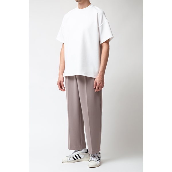Smooth Stretch Pants（Men's）/Beige | Perfume | A!SMART