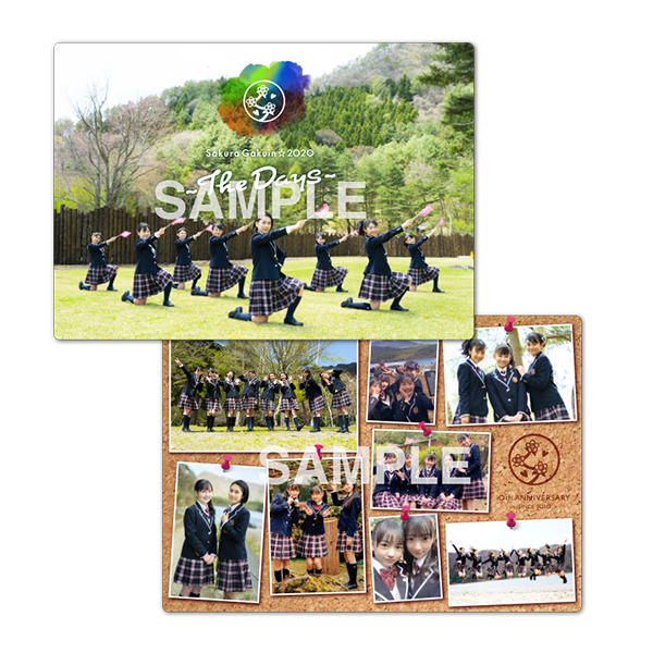 さくら学院 The Road to Graduation 2019 4枚組限定盤 Blu-ray 13th LIVE VIDEO『The Road to Graduation 2019 ～Story