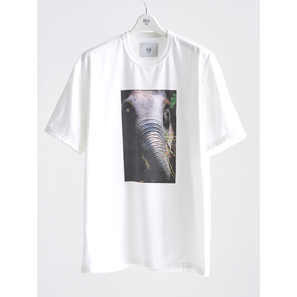 Earth-Life Tシャツ（ボルネオゾウ） | 福山 雅治 | A!SMART