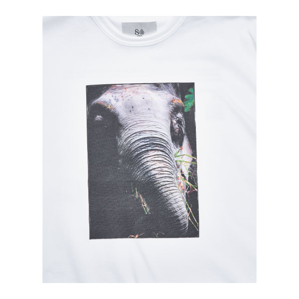 Earth-Life Tシャツ（ボルネオゾウ） | 福山 雅治 | A!SMART