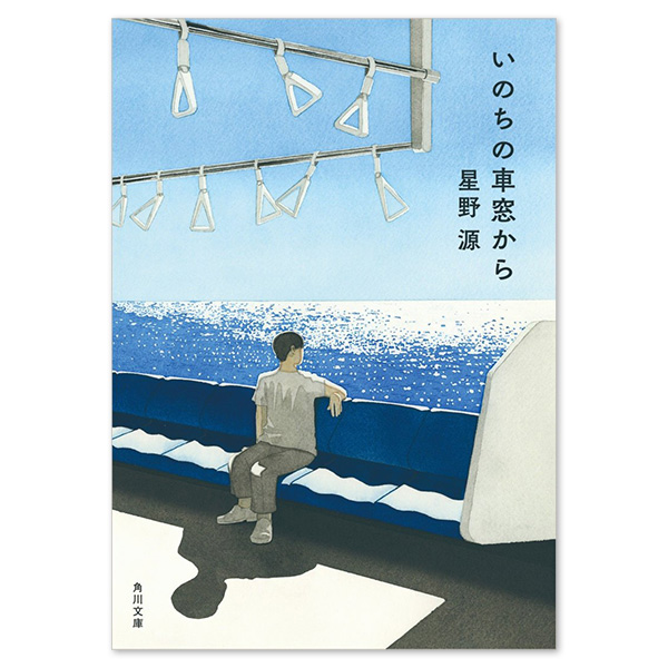 From the car window of life