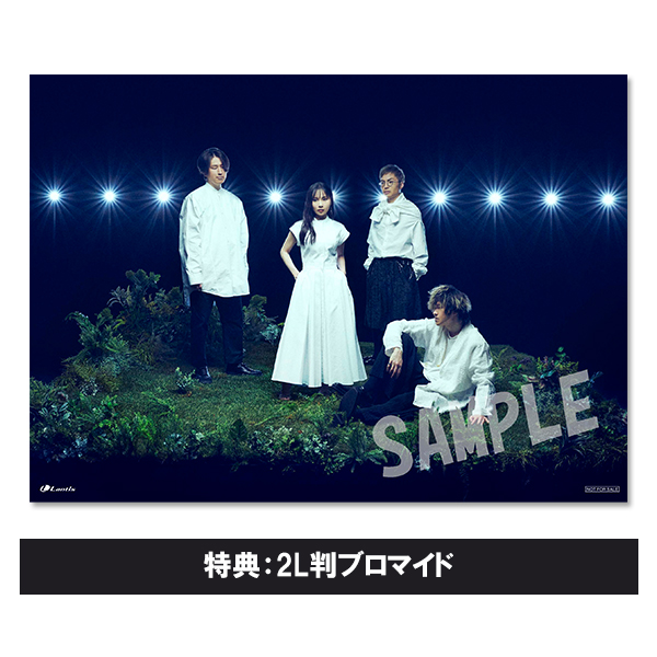 fhána Stardust e.p. 12インチレコード fhana fhána Stardust e.p. 12インチレコード fhana