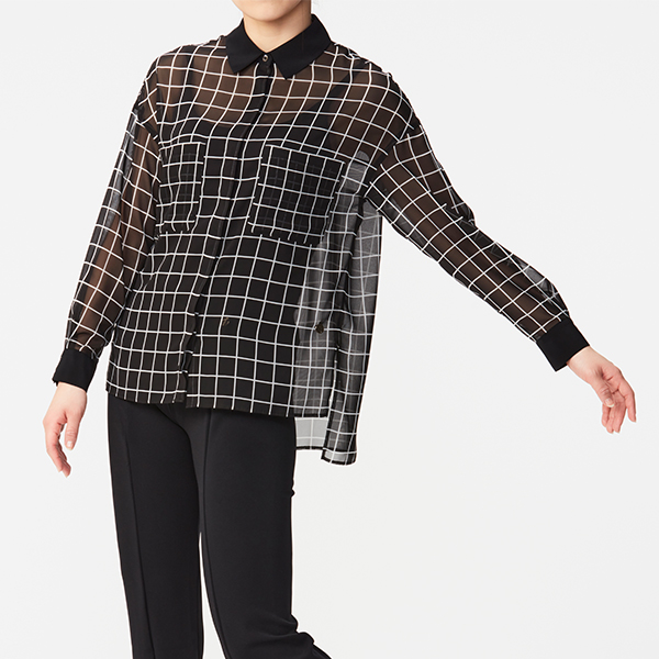 Perfume Closet Sheer Chiffon Shirts