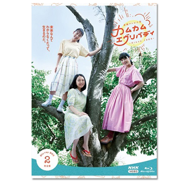 「連続テレビ小説 カムカムエヴリバディ 完全版 BOX2」