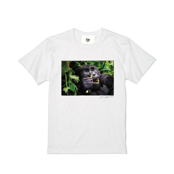 Earth-Life Tシャツ（マウンテンゴリラ） | 福山 雅治 | A!SMART