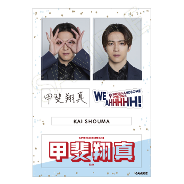 The Game☆Boy’s Film Show☆パンフレット+トレカ6枚 The Game☆Boy's Film Show☆パンフレット+トレカ6枚 The Game