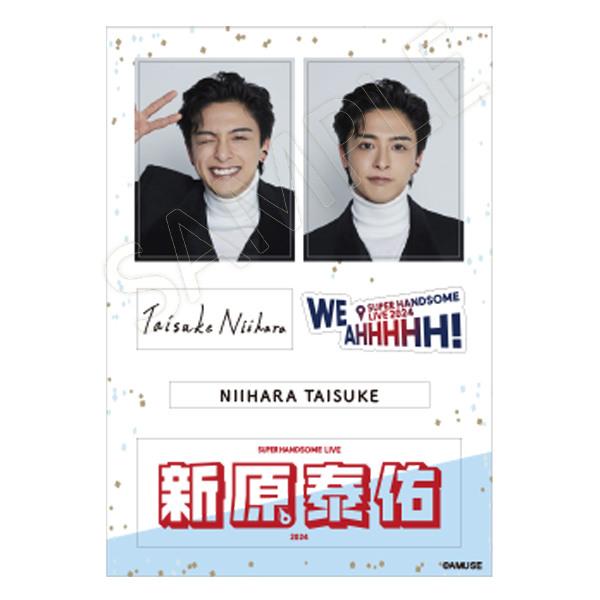 HANDSOME PASSPORT用ステッカーシート【新原泰佑】 | HANDSOME