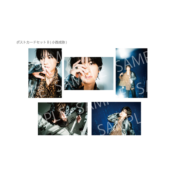 灰とカセットテープ ポストカードセット B (小西成弥) | 新春セール