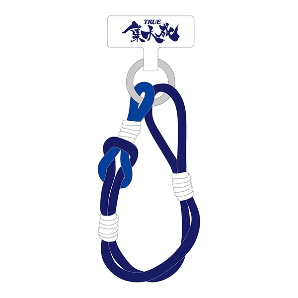 TRUE the BEST【初回限定盤】 | TRUE | A-on STORE