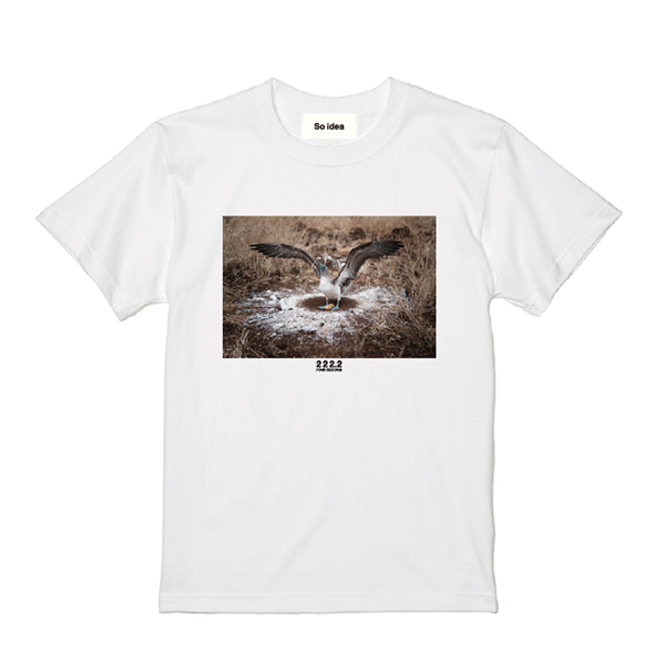 Earth-Life Tシャツ（アオアシカツオドリ） | 福山 雅治 | A!SMART