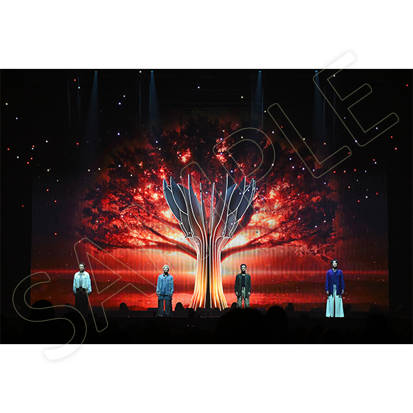 s**t kingz 2025 LIVE Blu-ray BOX | s**t kingz | A!SMART