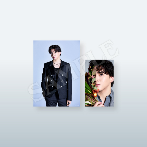 ブロマイド(2枚組) | 甲斐 翔真 | A!SMART