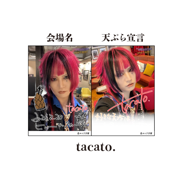 貴重な十字和子のオリジナルプリントです。 メッセージ入りL判自撮りブロマイディング／tacato. | 色々な十字架
