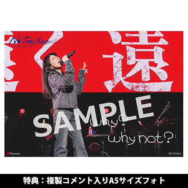 茅原 実里 | A-on STORE